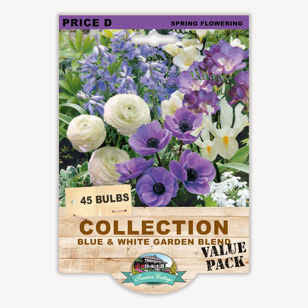 Blue & White Garden Blend (Pack of 45 Bulbs) - Happy Valley Seeds