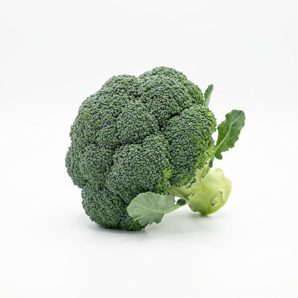 Broccoli - Calabrese seeds (Organic) - Happy Valley Seeds