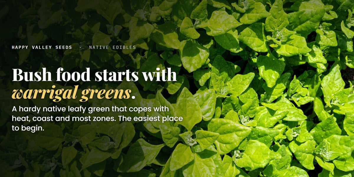 A bed of warrigal greens under the words bush food starts with warrigal greens
