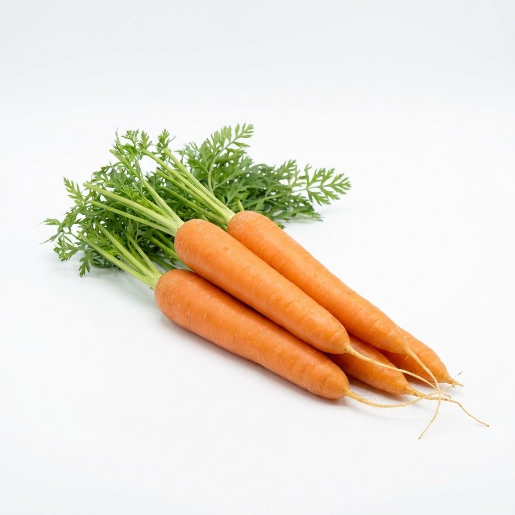Carrot - Berlicum seeds (Organic) - Happy Valley Seeds