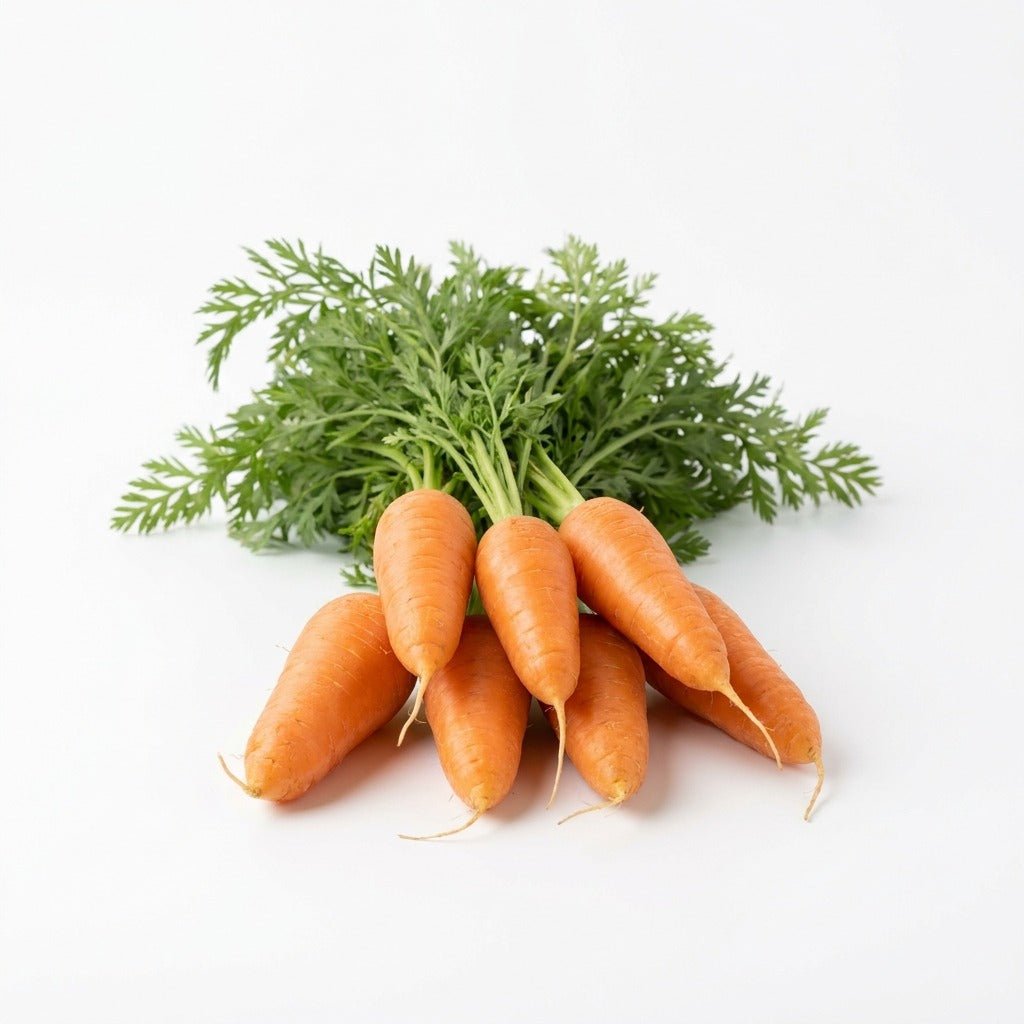 Carrot - Chantenay Red Cored 2 seeds (Organic) - Happy Valley Seeds