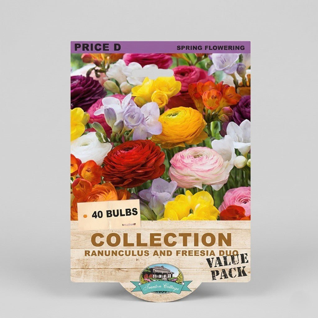 Collection Ranunculus & Freesia Duo (Pack of 40 Bulbs) - Happy Valley Seeds
