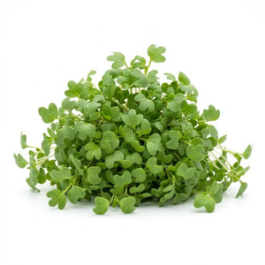 Cress seeds (Organic)