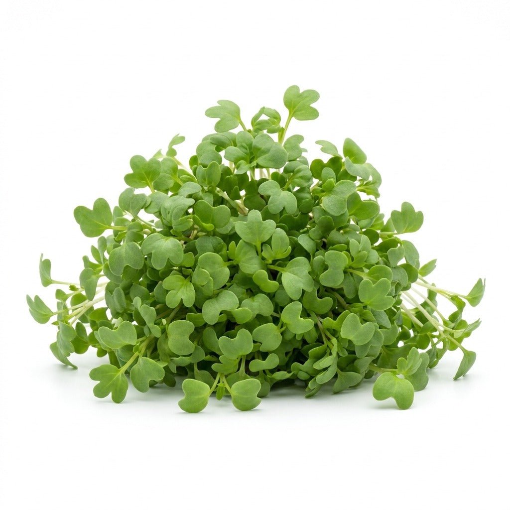 Cress seeds (Organic) - Happy Valley Seeds