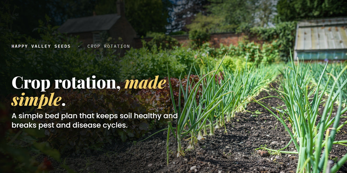 Crop rotation, made simple. A simple bed plan that keeps soil healthy and breaks pest and disease cycles.