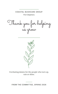 Front of a Hairline Botanical packet for a bushcare group: Thank you for helping us grow above a line-drawn gum sprig