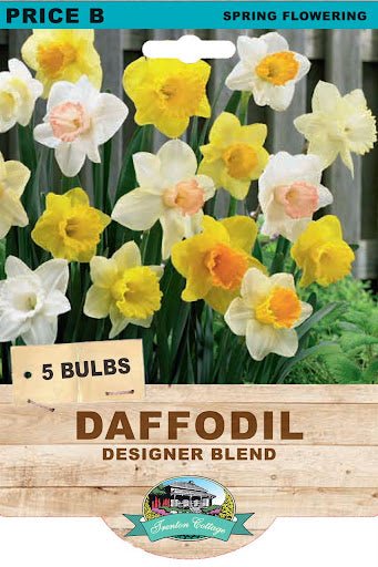 Daffodil Designer Blend (Pack of 5 Bulbs) - Happy Valley Seeds