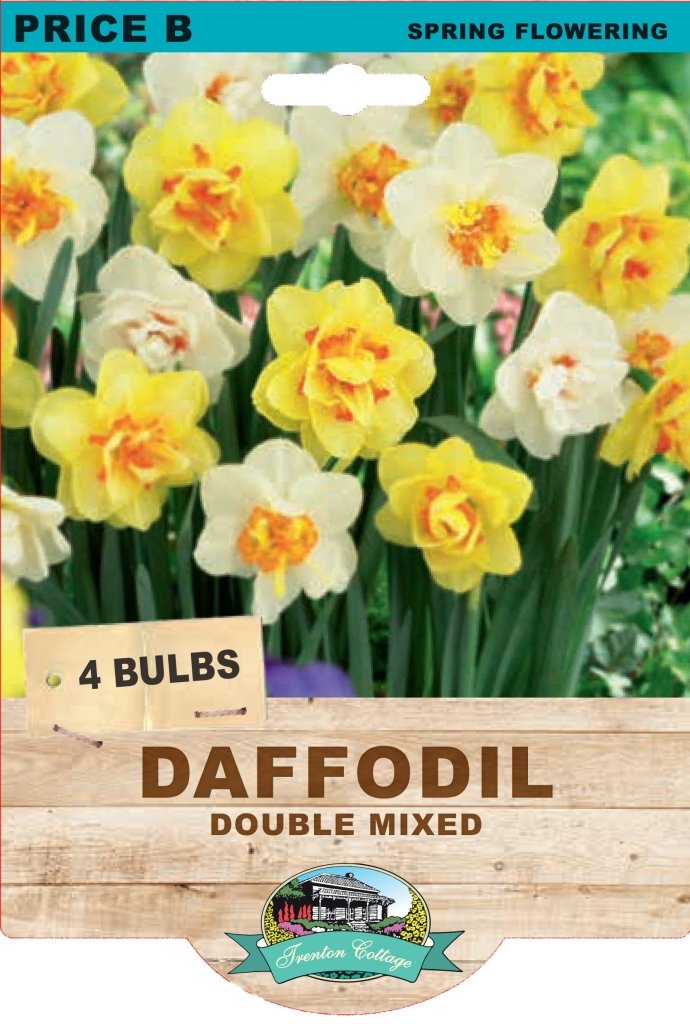 Daffodil Double Mixed (Pack of 4 Bulbs) - Happy Valley Seeds