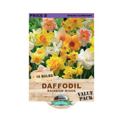 Daffodil Rainbow Mixed (Pack of 16 Bulbs) - Happy Valley Seeds