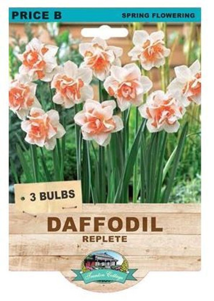 Daffodil Replete (Pack of 3 Bulbs) - Happy Valley Seeds