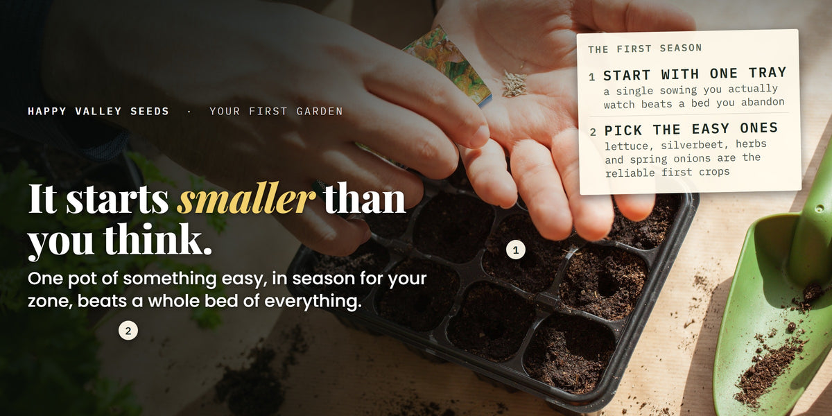 Hands sowing seed into a cell tray beside a pot of parsley, labelled start with one tray and pick the easy ones, under the headline it starts smaller than you think