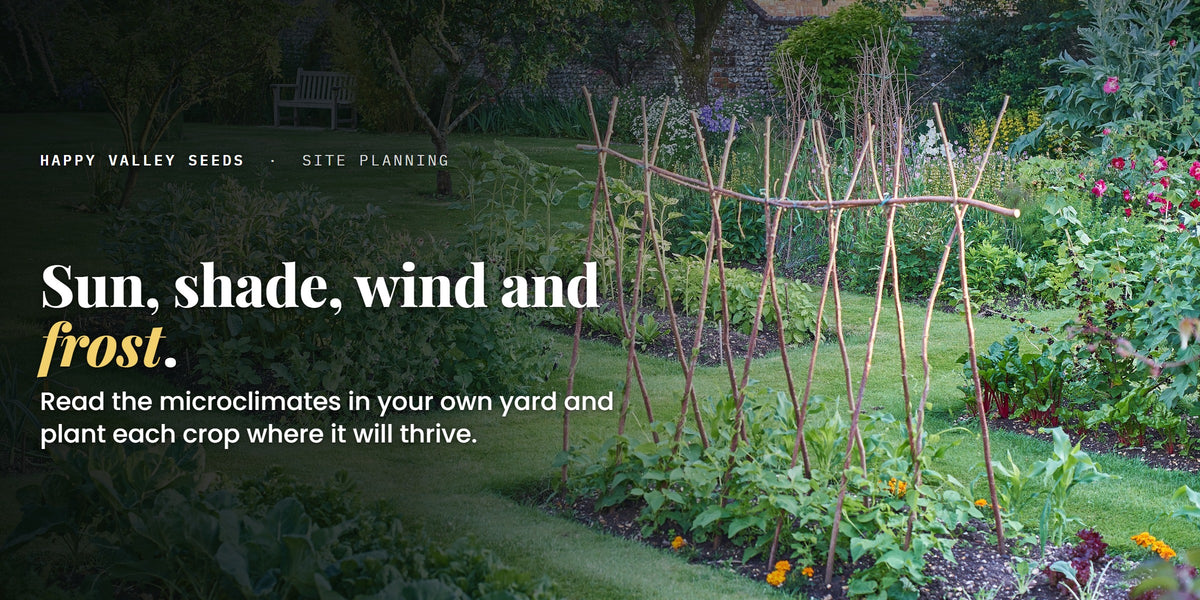 Sun, shade, wind and frost. Read the microclimates in your own yard and plant each crop where it will thrive.