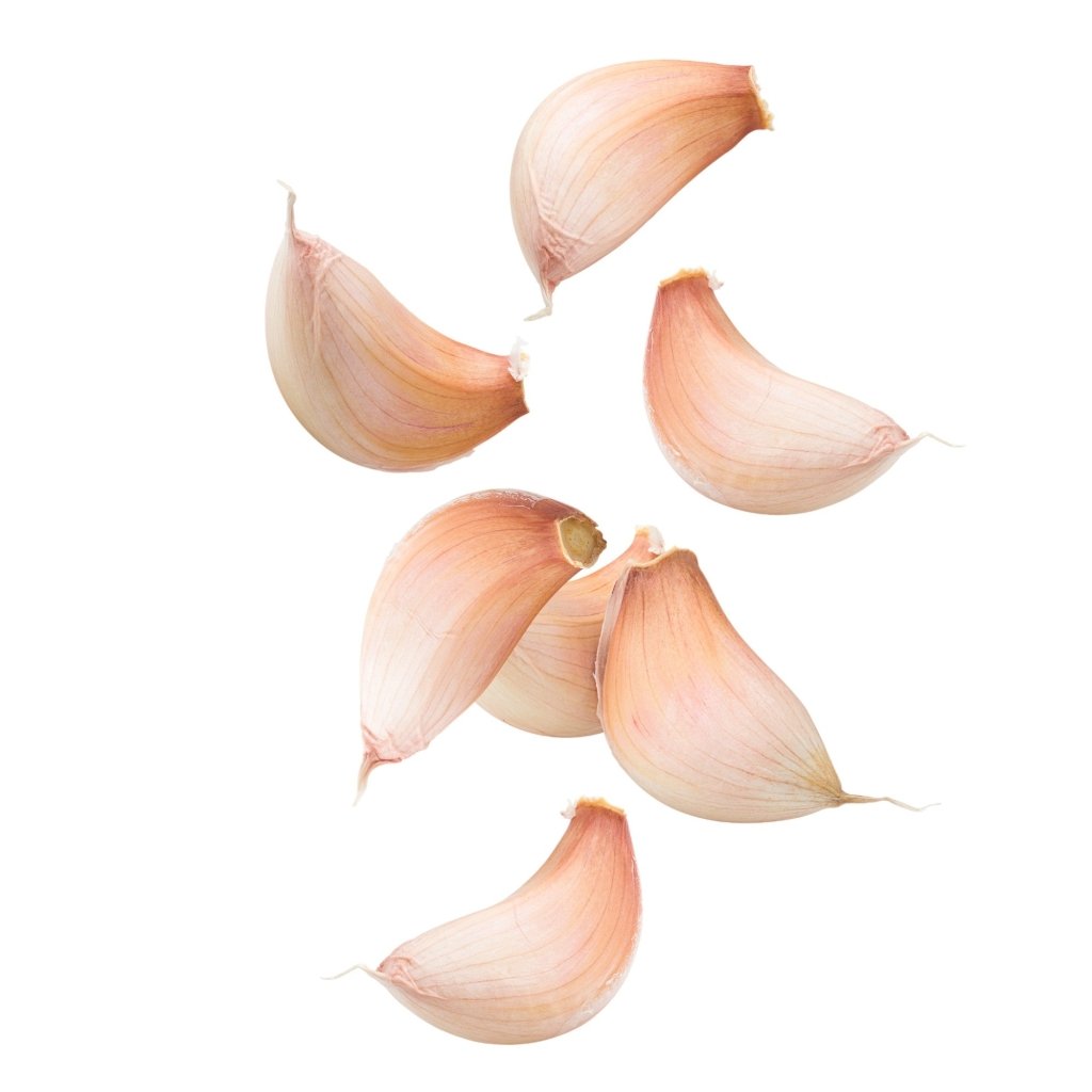 Garlic - Conventional - Happy Valley Seeds