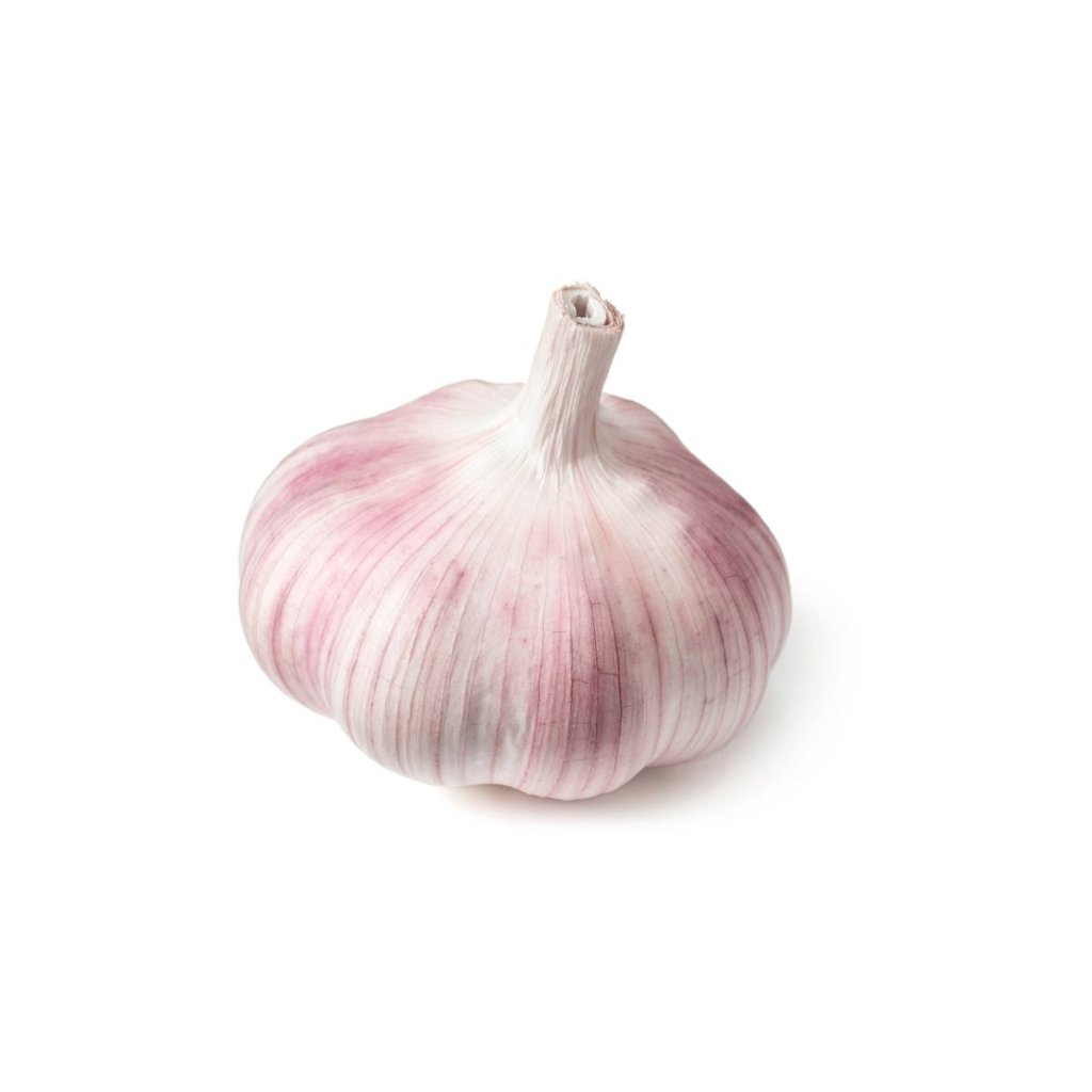 Garlic - Glenlarge Bulbs - Happy Valley Seeds