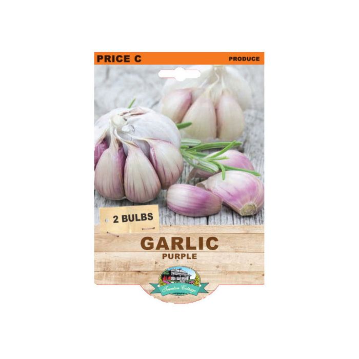 Garlic - Rosea Purple Bulbs - Happy Valley Seeds