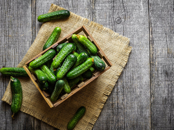 Gherkin