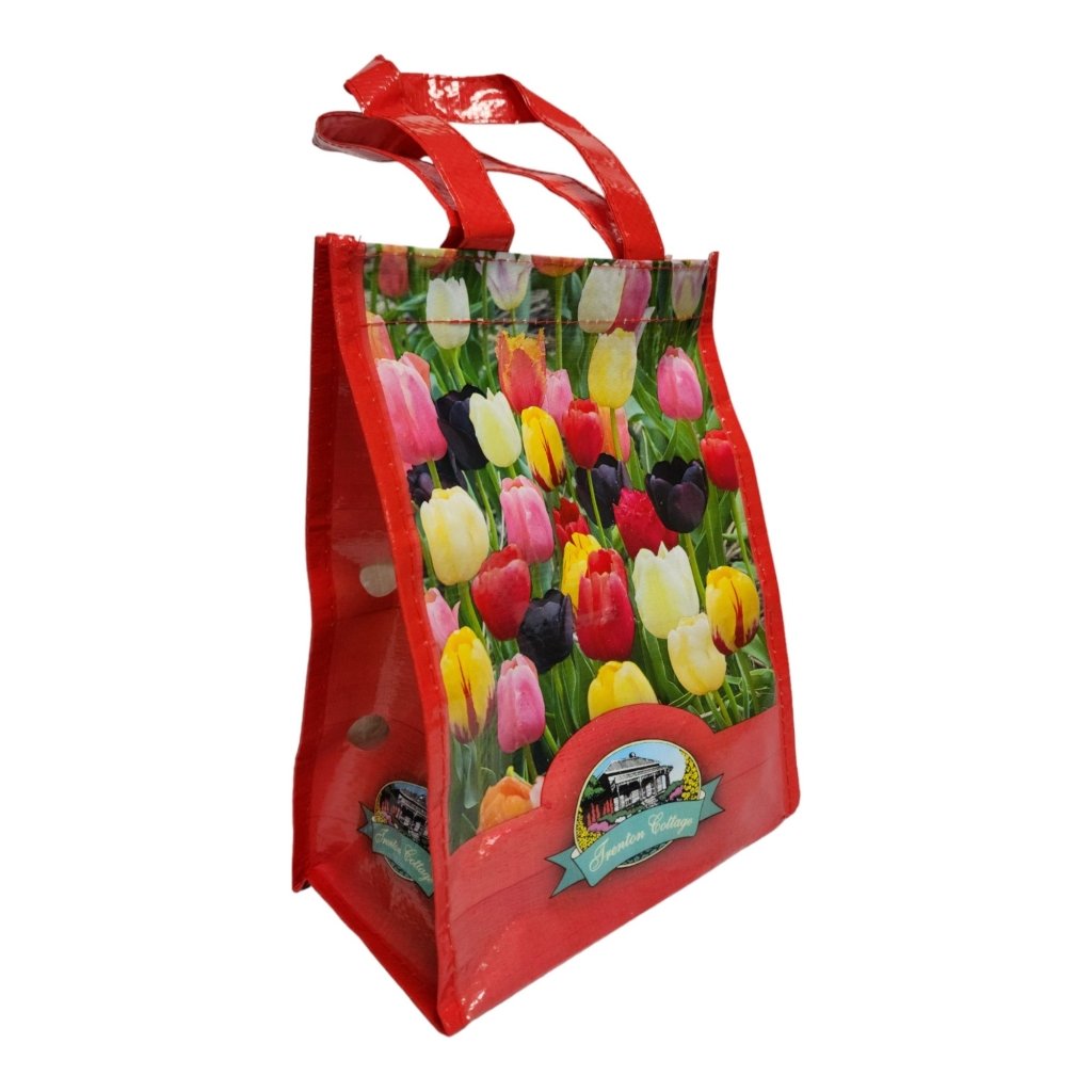 Gift Bag - Tulip Mixed (Pack of 16 Bulbs) - Happy Valley Seeds