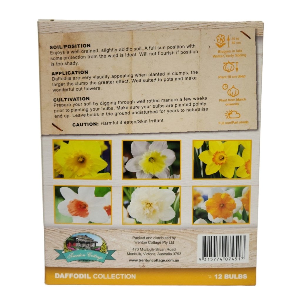 Gift Box - Daffodil Collection (Pack of 12 Bulbs) - Happy Valley Seeds