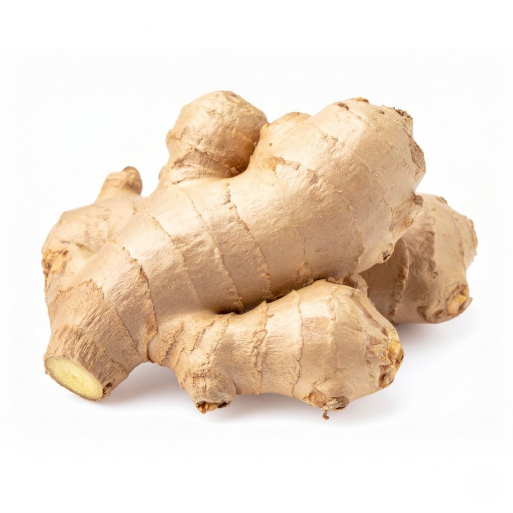 Ginger Rhizome [PRE - ORDER] - Happy Valley Seeds