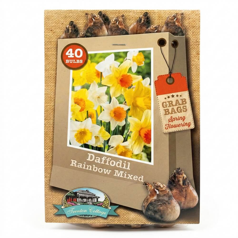 Grab Bag - Daffodil Rainbow Mixed (Pack of 40 Bulbs) - Happy Valley Seeds