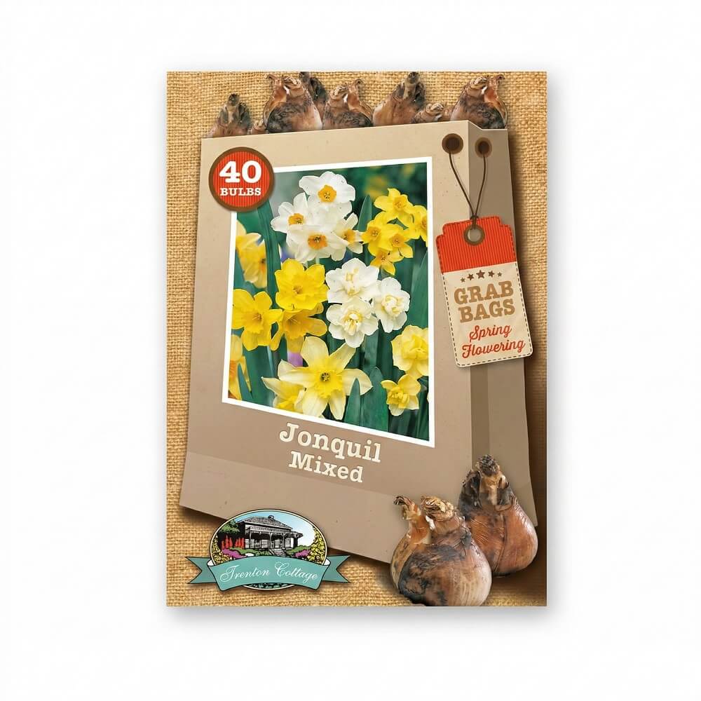 Grab Bag - Jonquil Mixed (Pack of 40 Bulbs) - Happy Valley Seeds