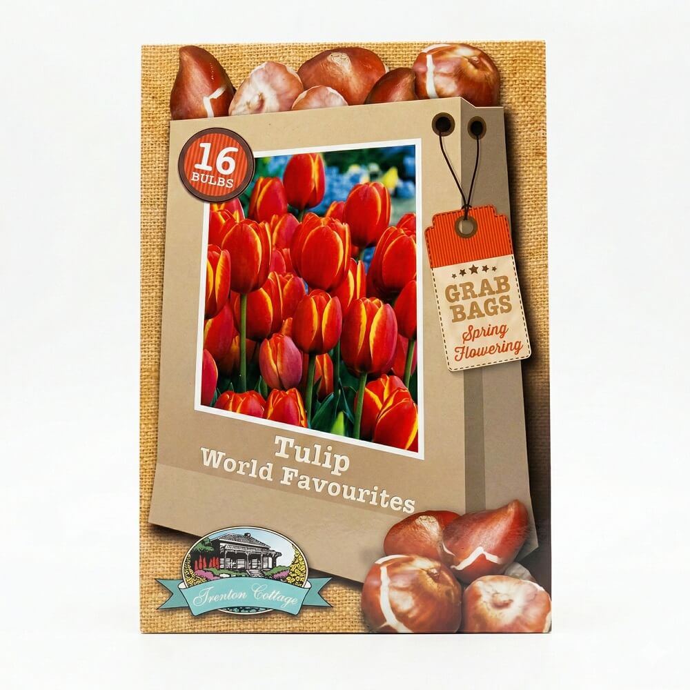 Grab Bag - Tulip World's Favourite (Pack of 16 Bulbs) - Happy Valley Seeds