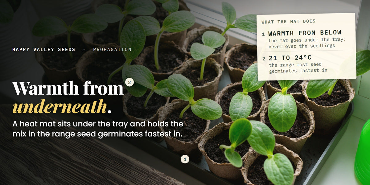Fibre pots of seedlings on a windowsill tray, marked warmth from below and 21 to 24 degrees, under the headline warmth from underneath