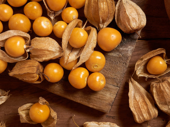 Cape Gooseberry