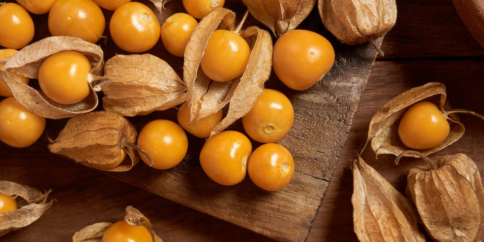 How to Grow Cape Gooseberries in Australia