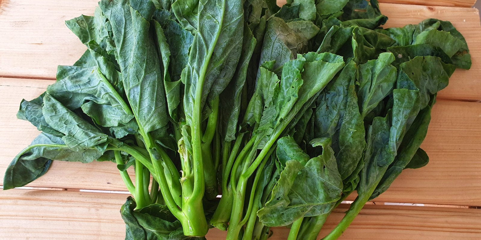 How to Grow Chinese Broccoli in Australia