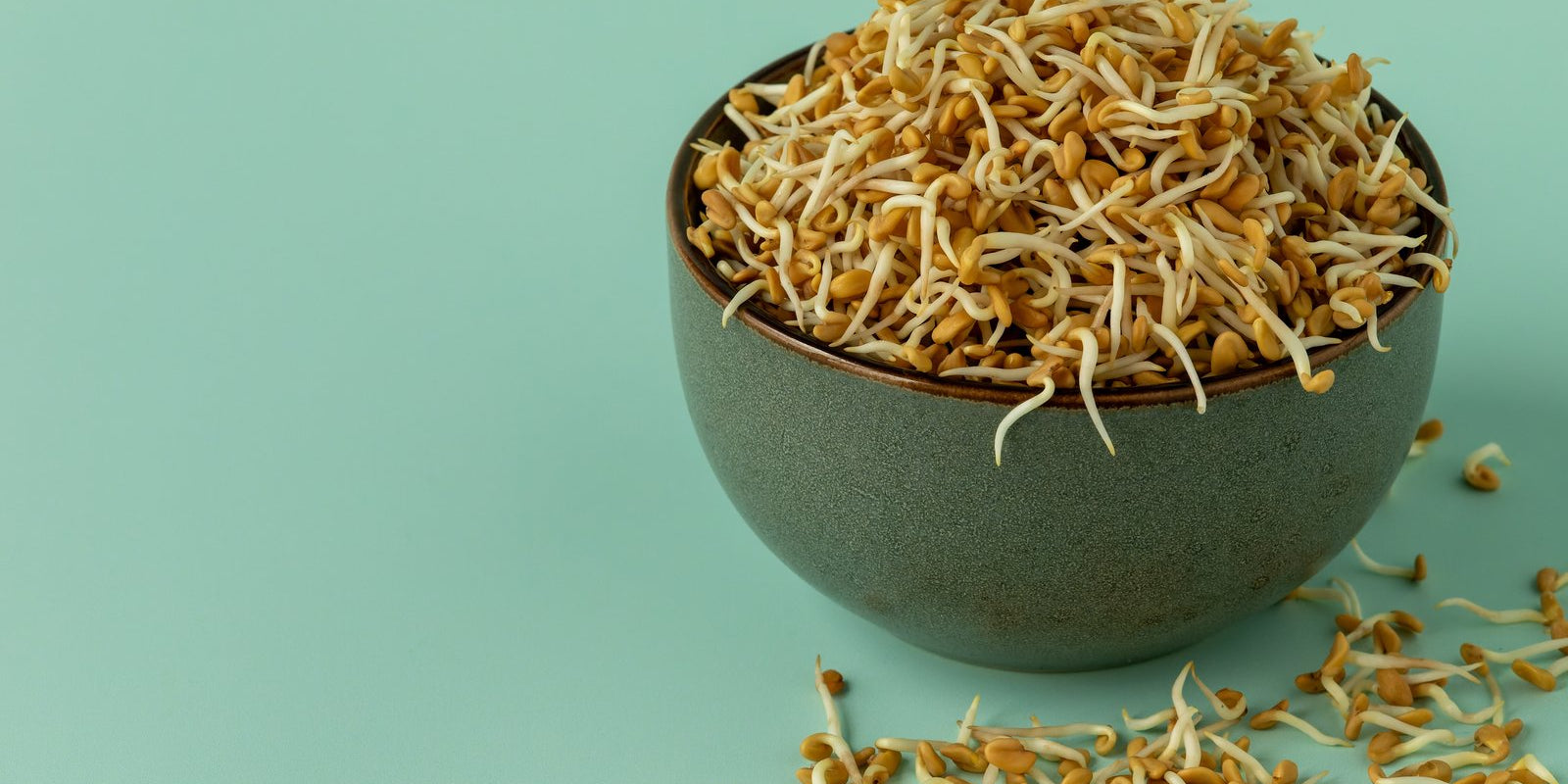 How to Grow Fenugreek Sprouts in Australia