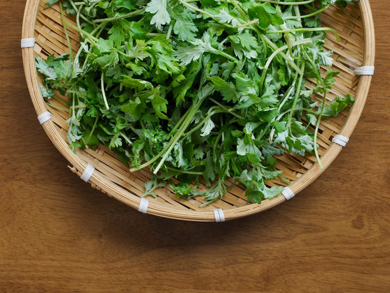 Mugwort