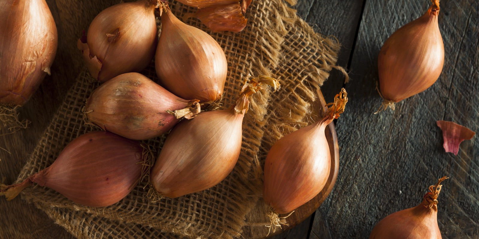 How to Grow Shallots in Australia