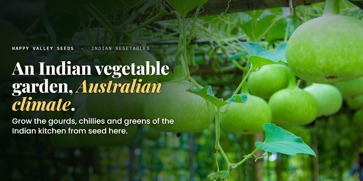 An Indian vegetable garden, Australian climate. Grow the gourds, chillies and greens of the Indian kitchen from seed here.