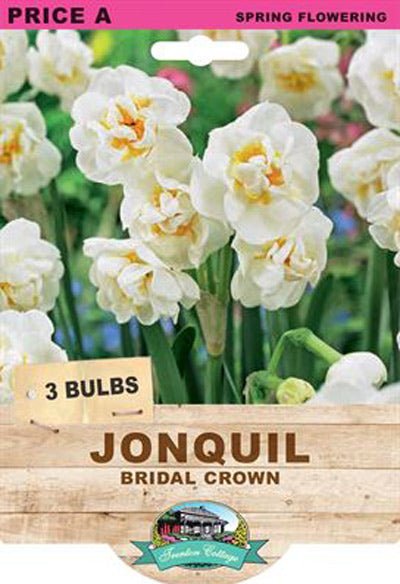 Jonquil Bridal Crown (Pack of 3 Bulbs) - Happy Valley Seeds