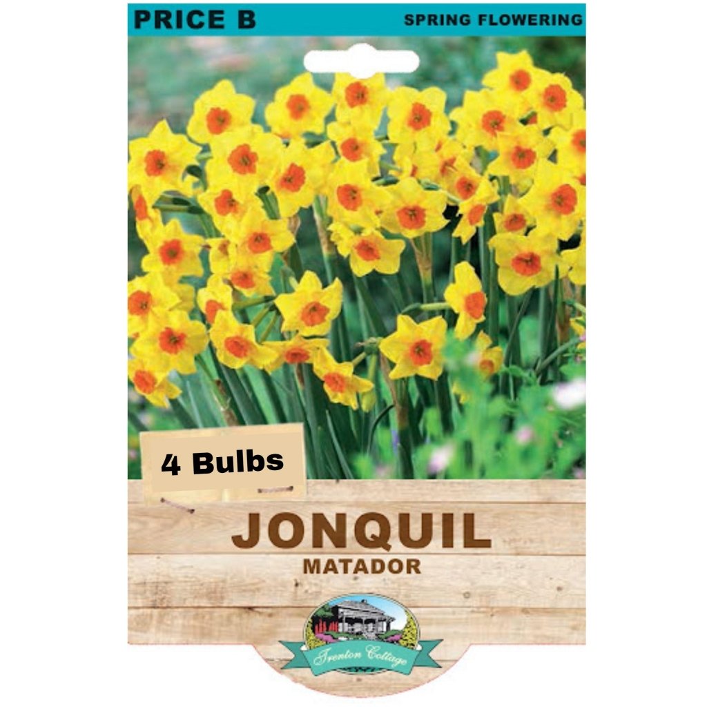 Jonquil Matador (Pack of 4 Bulbs) - Happy Valley Seeds