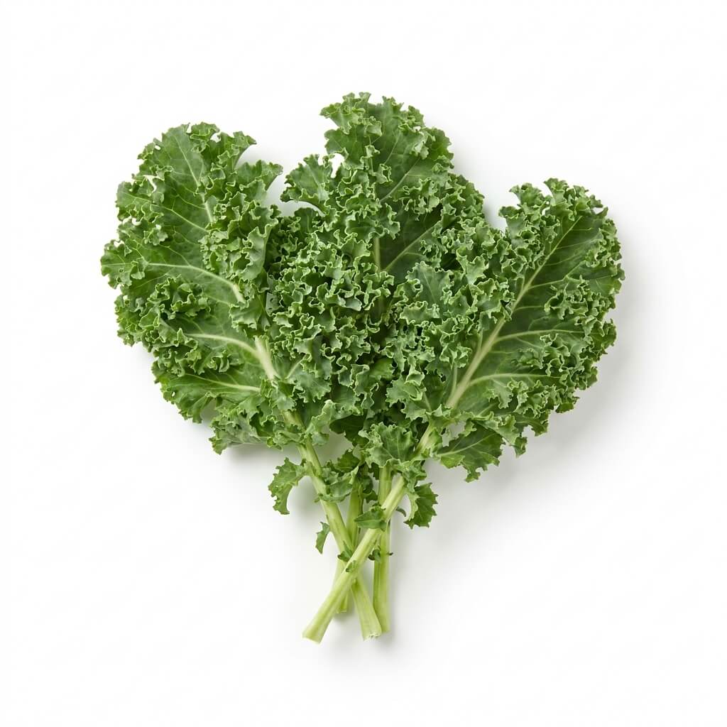 Kale - Westlander (Organic) (Certified Demeter Biodynamic) - Happy Valley Seeds