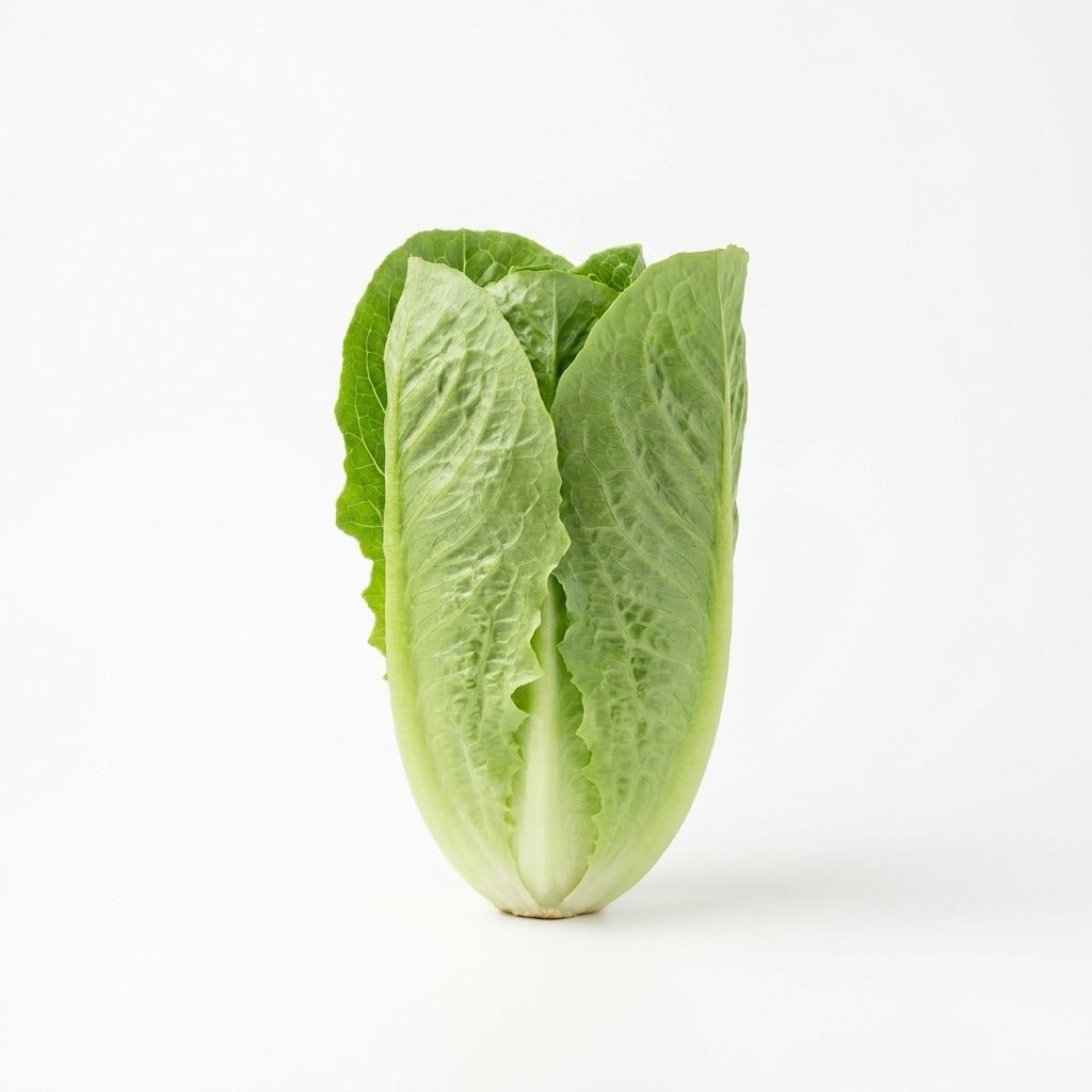 Lettuce - Crisp Mint seeds (Organic) - Happy Valley Seeds