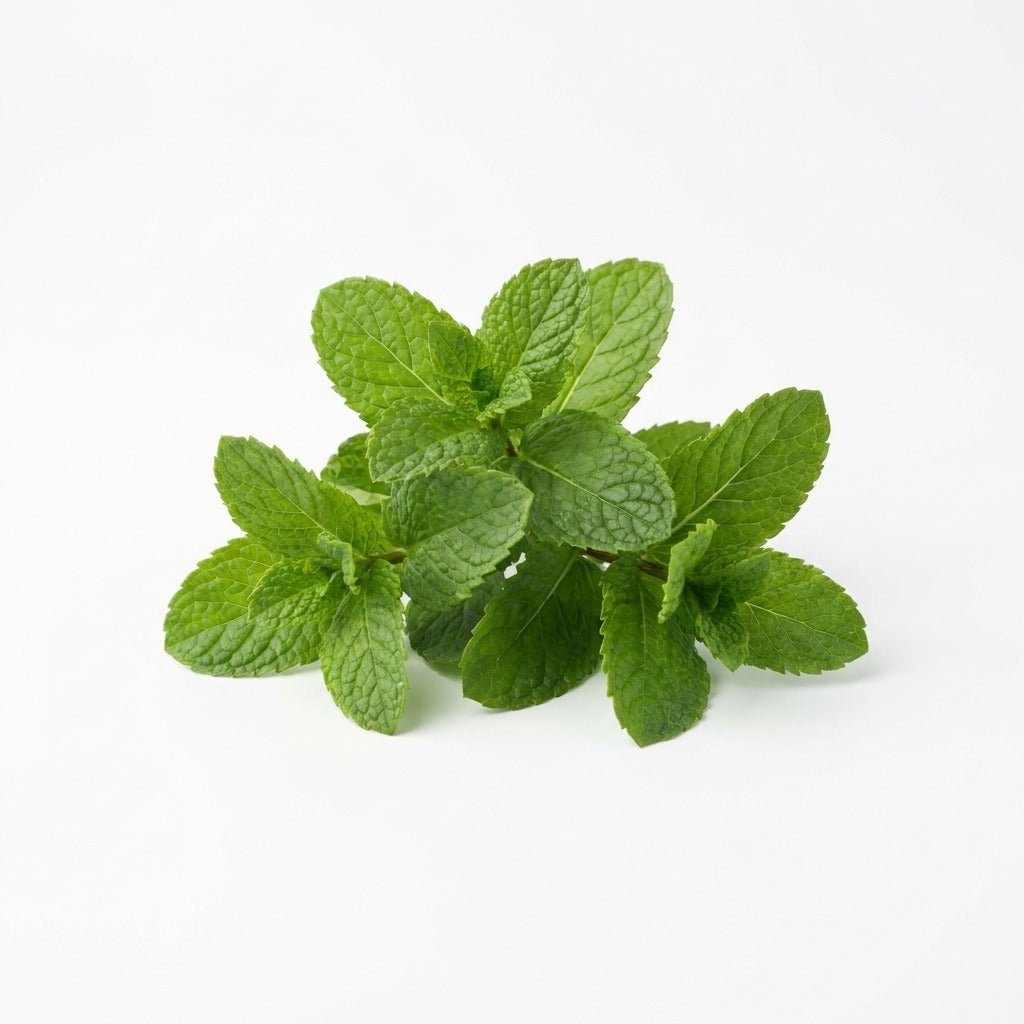 Mint - Spearmint seeds (Organic) - Happy Valley Seeds