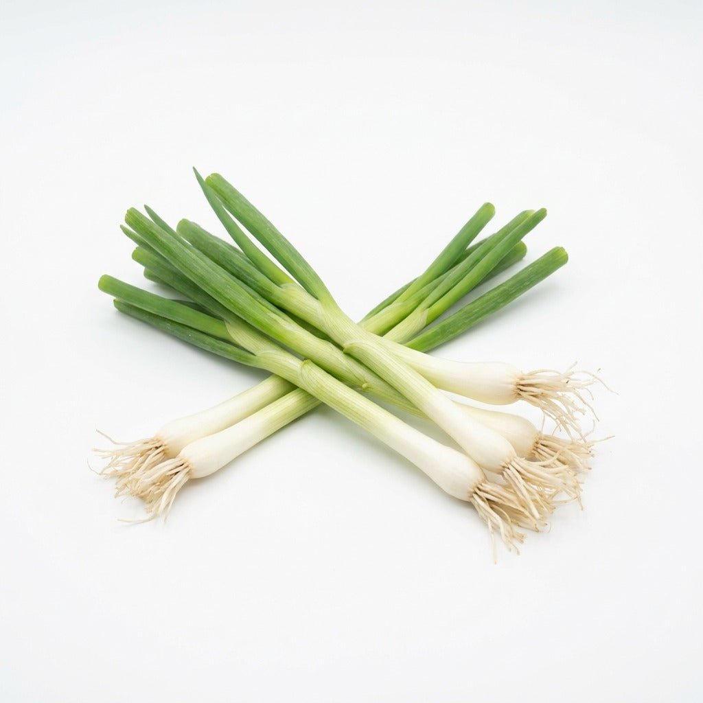 Onion - Bunching White Lisbon seeds (Organic) - Happy Valley Seeds
