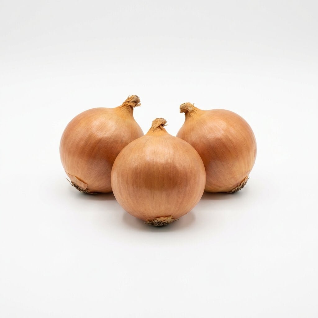 Onion - Early Pukekohe Long Keeper seeds (Organic) - Happy Valley Seeds