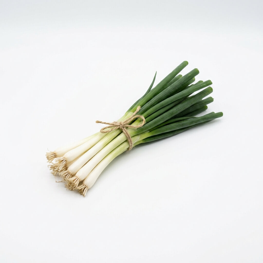 Onion (Spring) - Green Bunching seeds