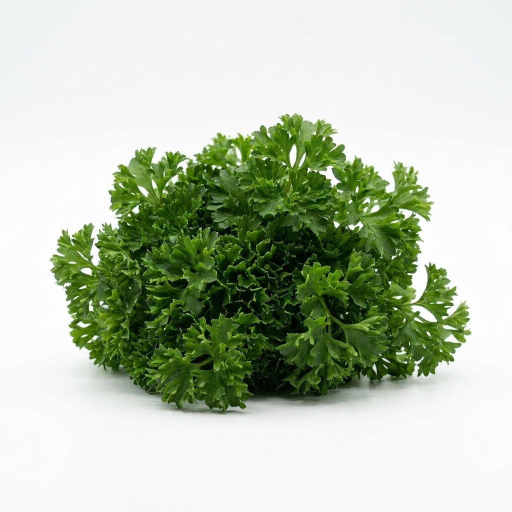 Parsley - Moss Curled seeds (Organic) - Happy Valley Seeds