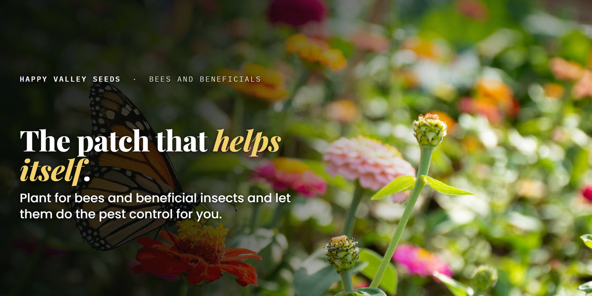 The patch that helps itself. Plant for bees and beneficial insects and let them do the pest control for you.