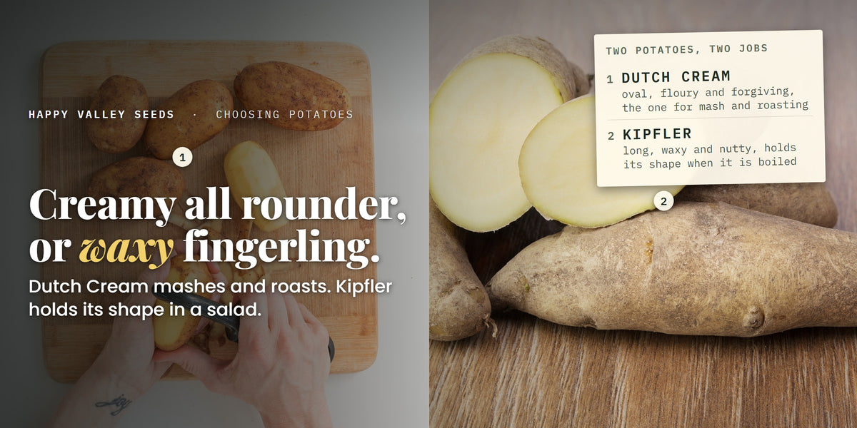 Dutch Cream and Kipfler potatoes side by side, labelled Dutch Cream and Kipfler, under the headline creamy all rounder, or waxy fingerling
