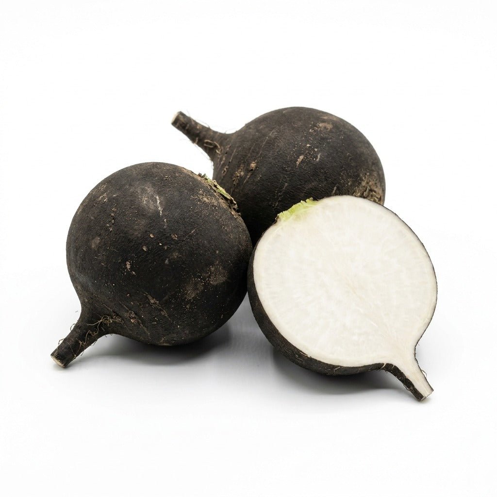 Radish - Black Spanish Round seeds (Organic) - Happy Valley Seeds