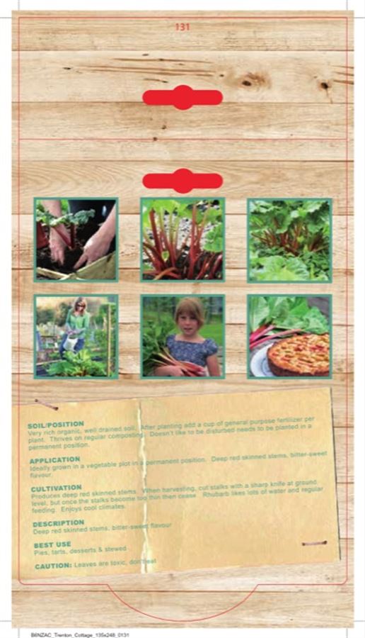 Rhubarb - Ever Red (Pack of 1) - Happy Valley Seeds