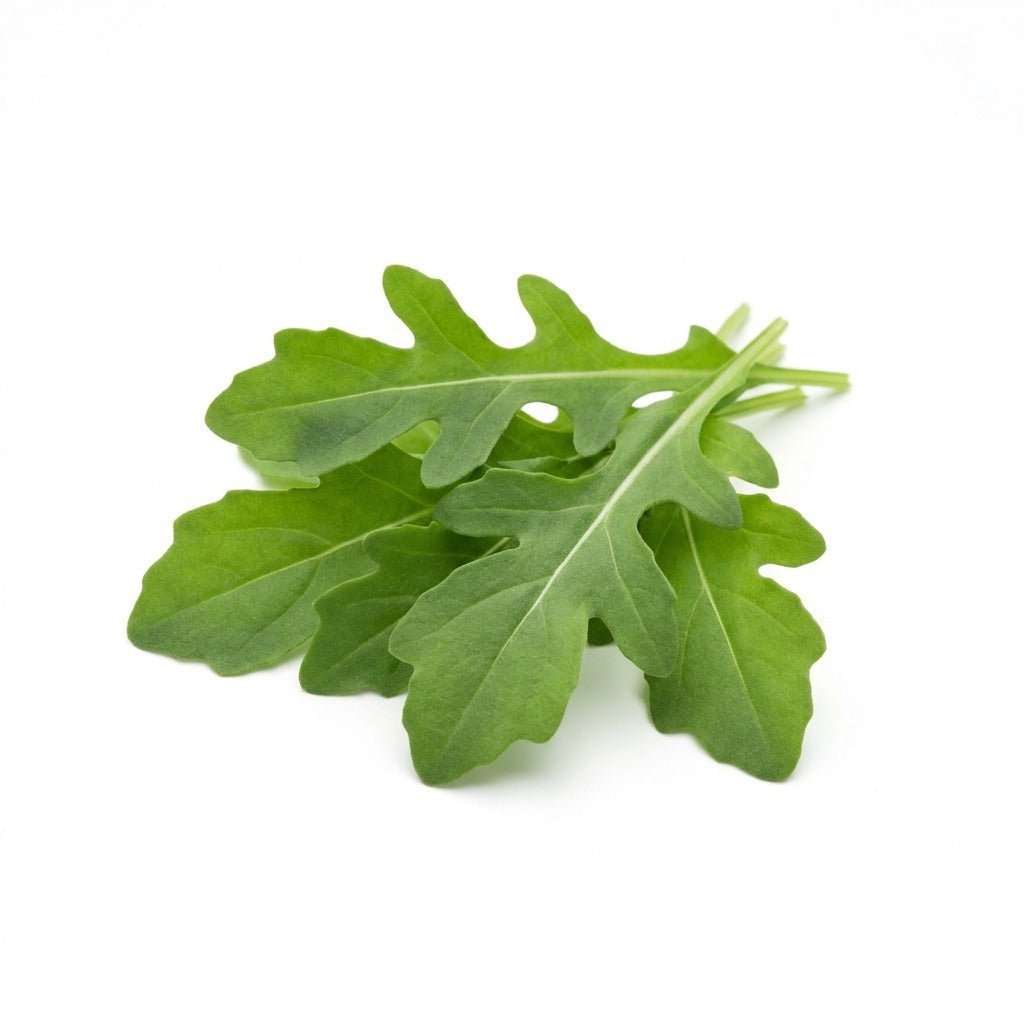 Rocket seeds (Organic) - Happy Valley Seeds