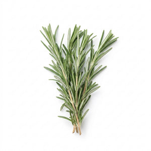 Rosemary seeds (Organic)