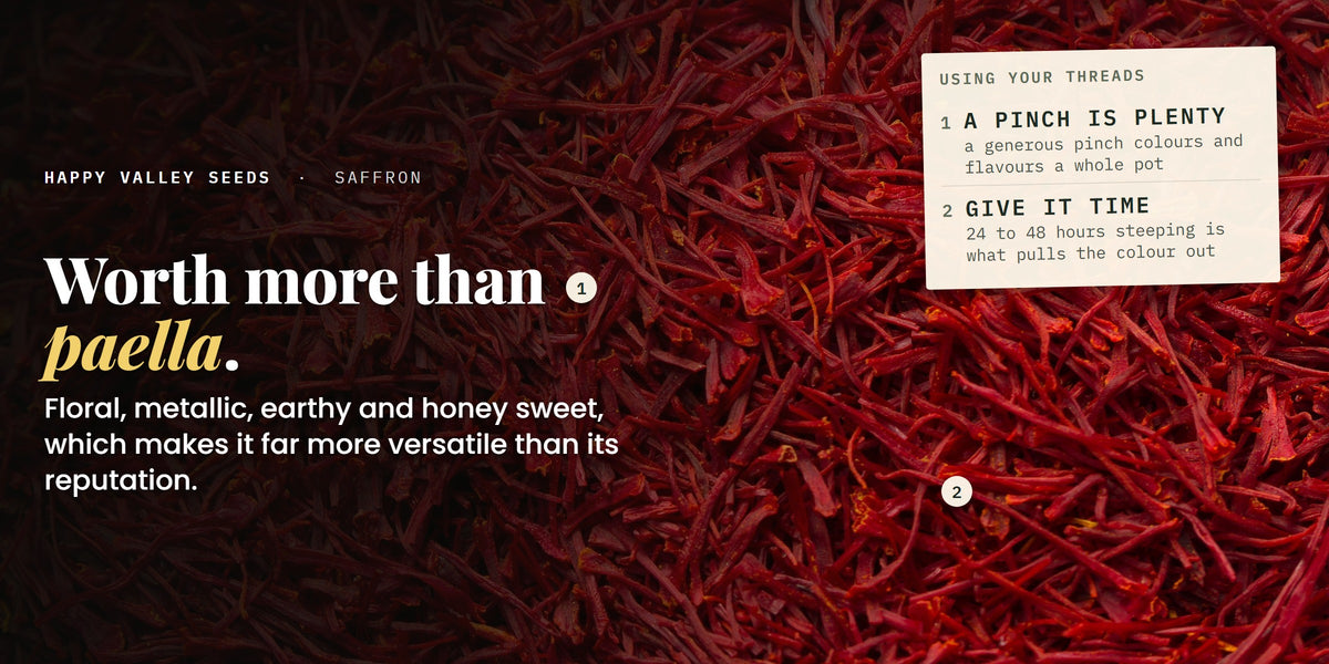 A mass of dried red saffron threads, marked a pinch is plenty and give it time, under the headline worth more than paella